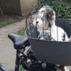 Lulu op de fiets