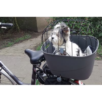 Lulu op de fiets