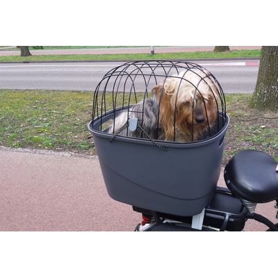 Bibi en Lulu op de fiets