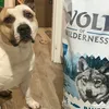 Morris7 anni