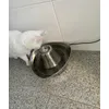 Os meus gatos adoraram a fonte