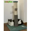 Luna ed il suo nuovo tiragraffi