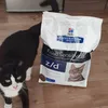 Pure Begeisterung 