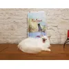 Rubens le chat Birman