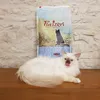 Rubens le chat Birman