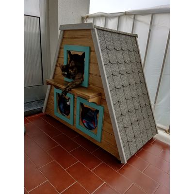 happy cats