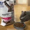 Leckeres Futter 