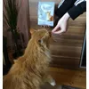 Uns schmeckt die Zahnpflege 