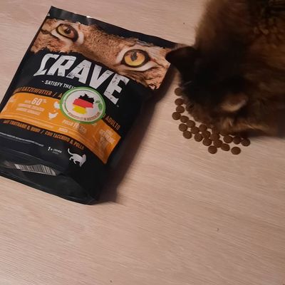 Meiner Katze schmeckt es gut