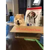 Lorychowchow