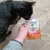 Approvato da Maya