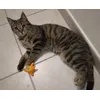 La piccola Mia e la sua stellina pazzerella