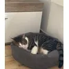 Lucky 