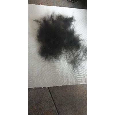 Furminator labrador