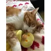 Kuscheln