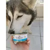 Kira adora questa scatoletta al tonno