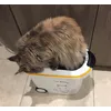 Curver storage