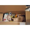 ja und meine Katze ist eine freche Katze 