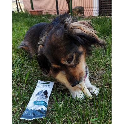 Rocky