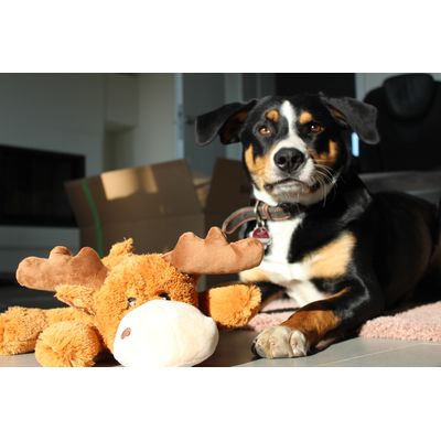 James liebt seinen neuen Freund