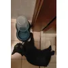 Gattina con ciotola