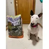 A minha favorita
