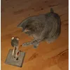 Alvin synes at den er meget interessant 