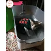 Modkat Tray