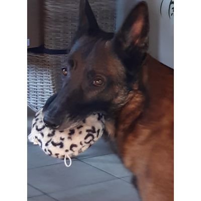 mon petit coussin