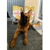 Nikita von der Berhofer-Heide