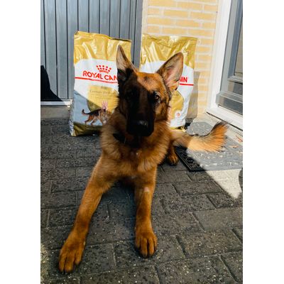 Nikita von der Berhofer-Heide