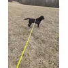 Bruno