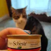 Schesir tonnetto e gamberetti