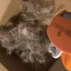Furminator beagle