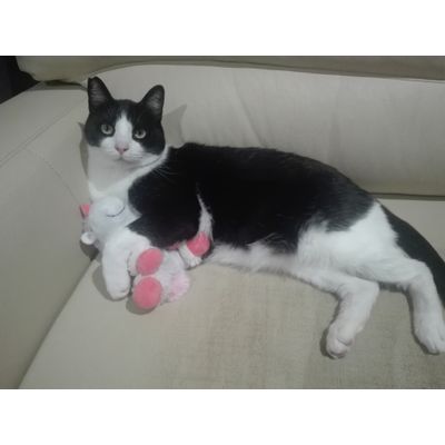 OREO