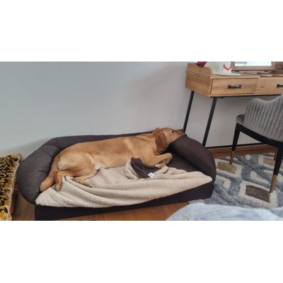 Bestes Bett