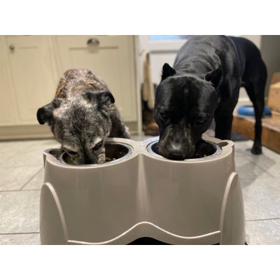 Brother from another mother