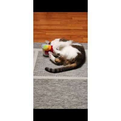 Puuurrfect