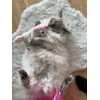 Cleo loves her unicorn 