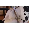 Agatina