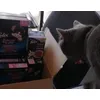 bella si kitty la primirea pachetului