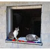 Ozzie e Luna