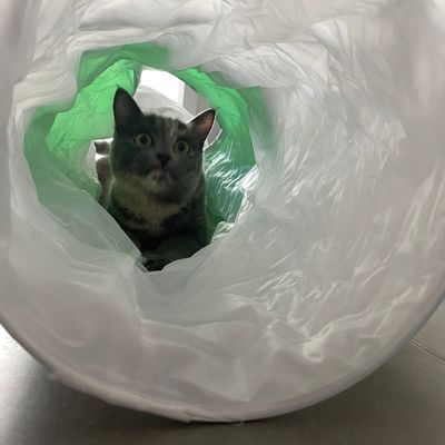 She loves it