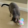 Cat love