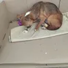 chihuahua loves it