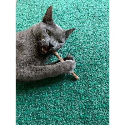 Volledig goedgekeurd door Billie-bob