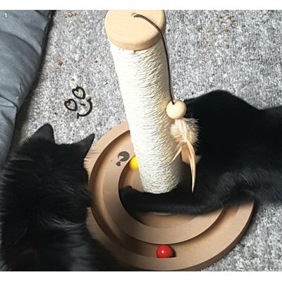 Spielzeug