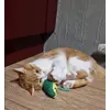 Alba et son avocat