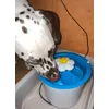 Meine Tiere lieben ihre Trinkbrunnen