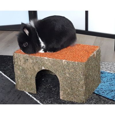 Pippin